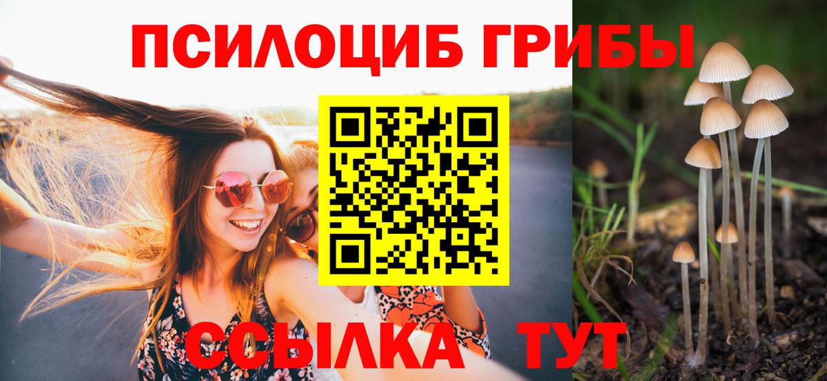 наркошоп  Галлюциногенные грибы Magic Shrooms  Галлюциногенные грибы Psilocybine cubensis  Вход с VPN  Людиново 